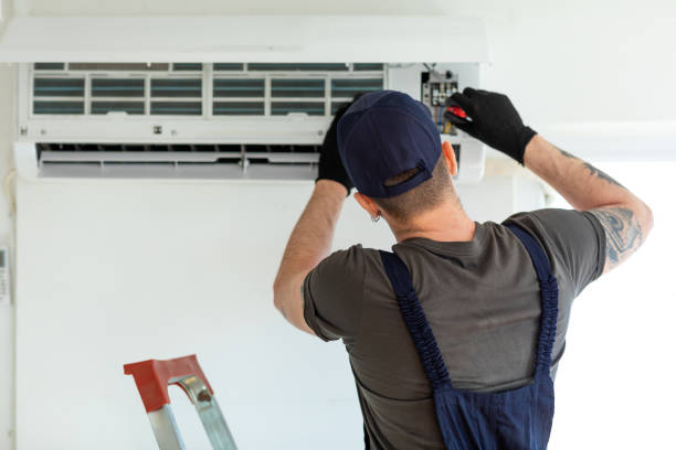 Best Affordable Duct Cleaning Services  in Spring Valley, AZ