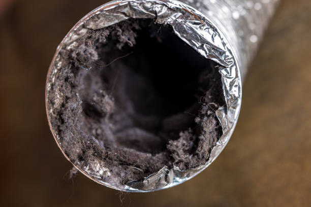 Affordable HVAC Duct Cleaning in Spring Valley, AZ